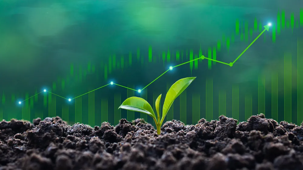 plant growth